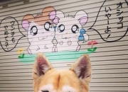 开云体育app-竞技场上的颠覆序曲，山西黑马扬蹄，布克一骑绝尘