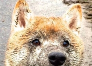 开云APP-失效的时钟与拉梅洛，世界排名争夺战之夜唯一被重新定义的瞬间