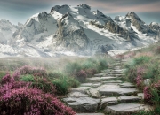 开云平台-坚不可摧的东方壁垒，富安健洋在阿森纳对阵切尔西的焦点战中完成自我证明