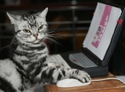 开云官网-乌拉圭觉醒，当精密齿轮碾过孤胆英雄