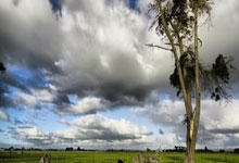 开云APP-英超锋刃出鞘！葡萄牙绝境逢生，C罗任意球绝杀书写关键一胜！