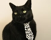 灰熊新王登基夜，爱德华兹用一记审判之锤让库里王朝提前散场