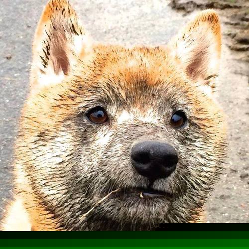 失效的时钟与拉梅洛，世界排名争夺战之夜唯一被重新定义的瞬间