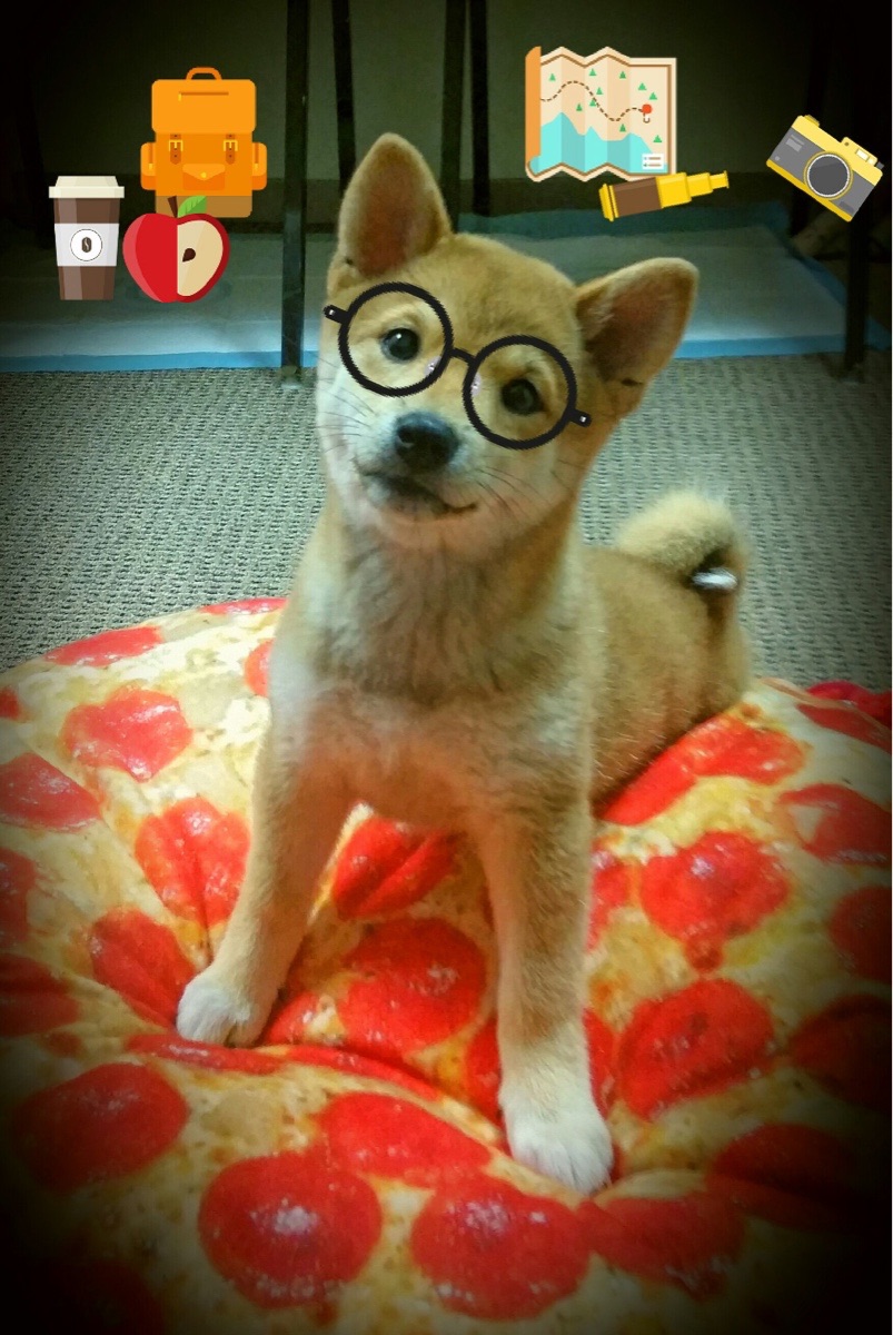 非洲之巅与南美利刃,当埃及终结喀麦隆,劳塔罗主宰命运