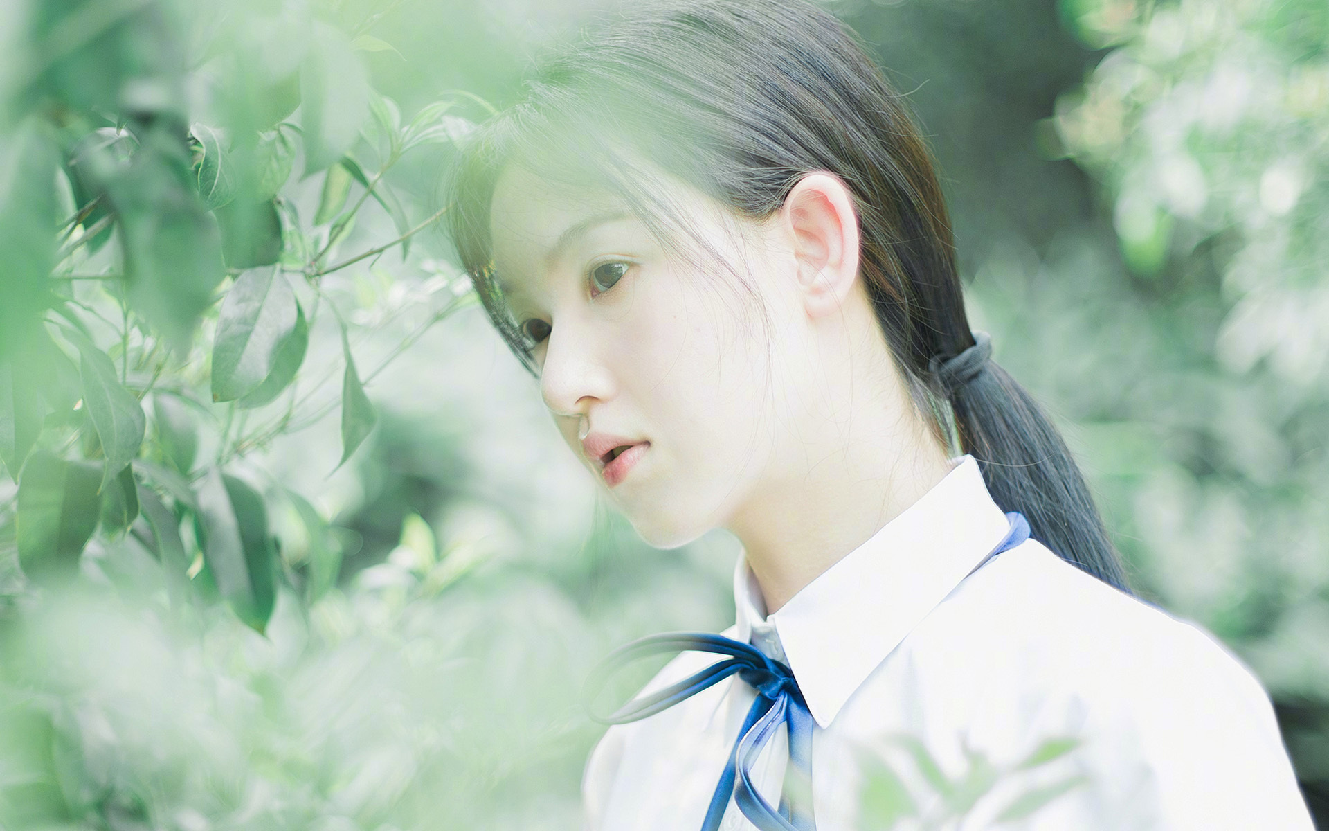 潘帕斯雄鹰叼走郁金香,爱琴海之谜提前终结橙衣军团的欧洲杯悬念