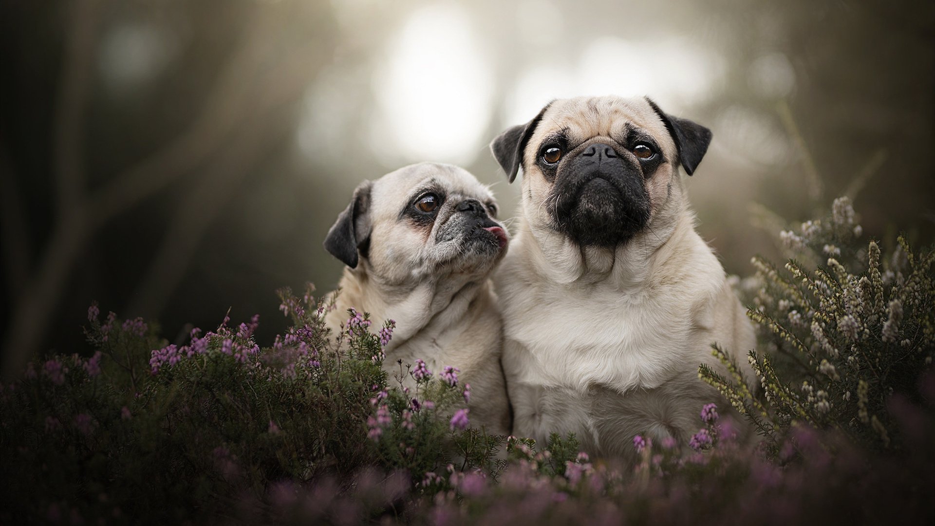 富安健洋,欧冠半决赛的隐形守护者,存在感拉满的夜晚
