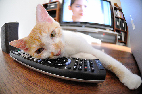 地板与赛道,跨越竞技场的硬核胜利