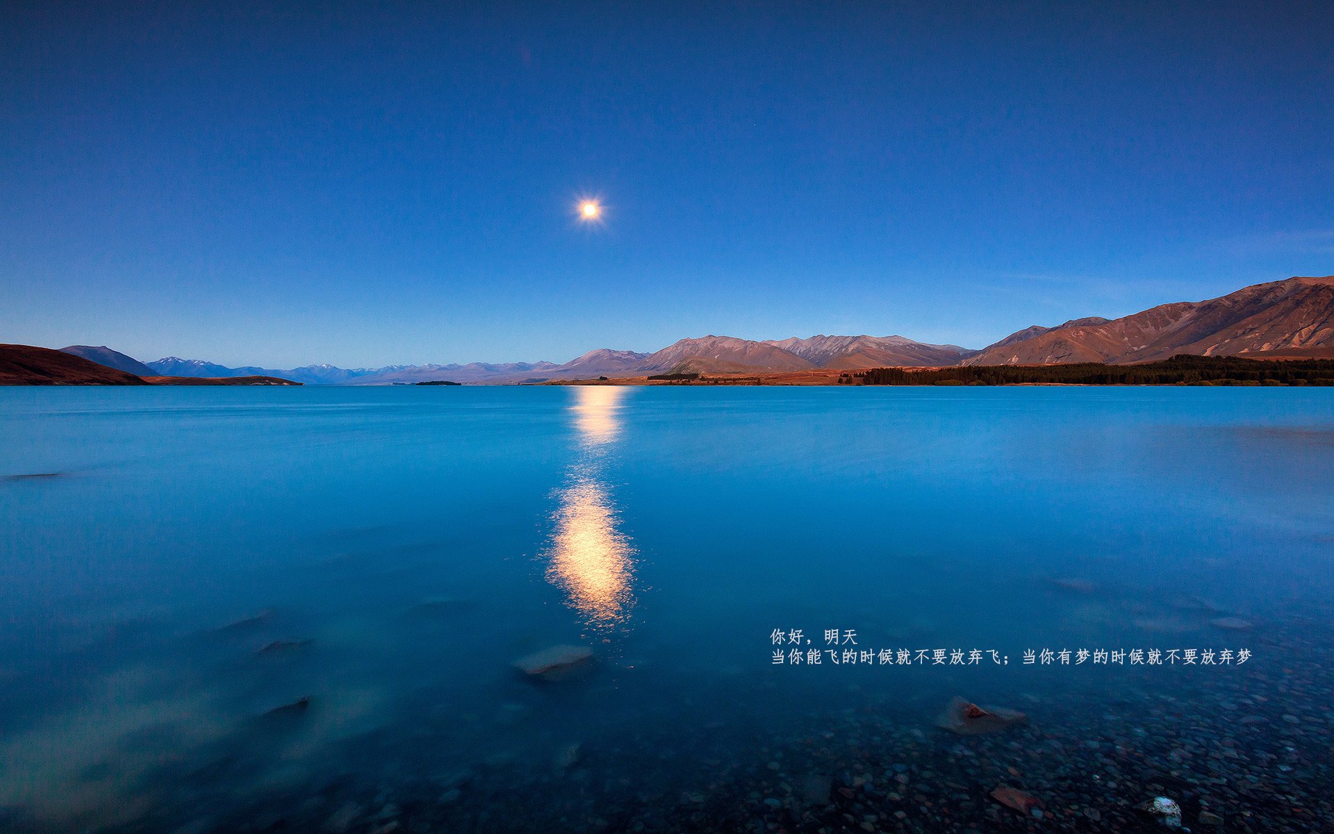 半神与高墙，特奥的独舞如何撞上皇家社会的铁壁