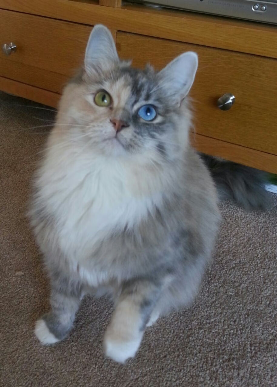 红军奇兵天降！李刚仁梦幻舞步导演胜利，利物浦客场制霸勒沃库森