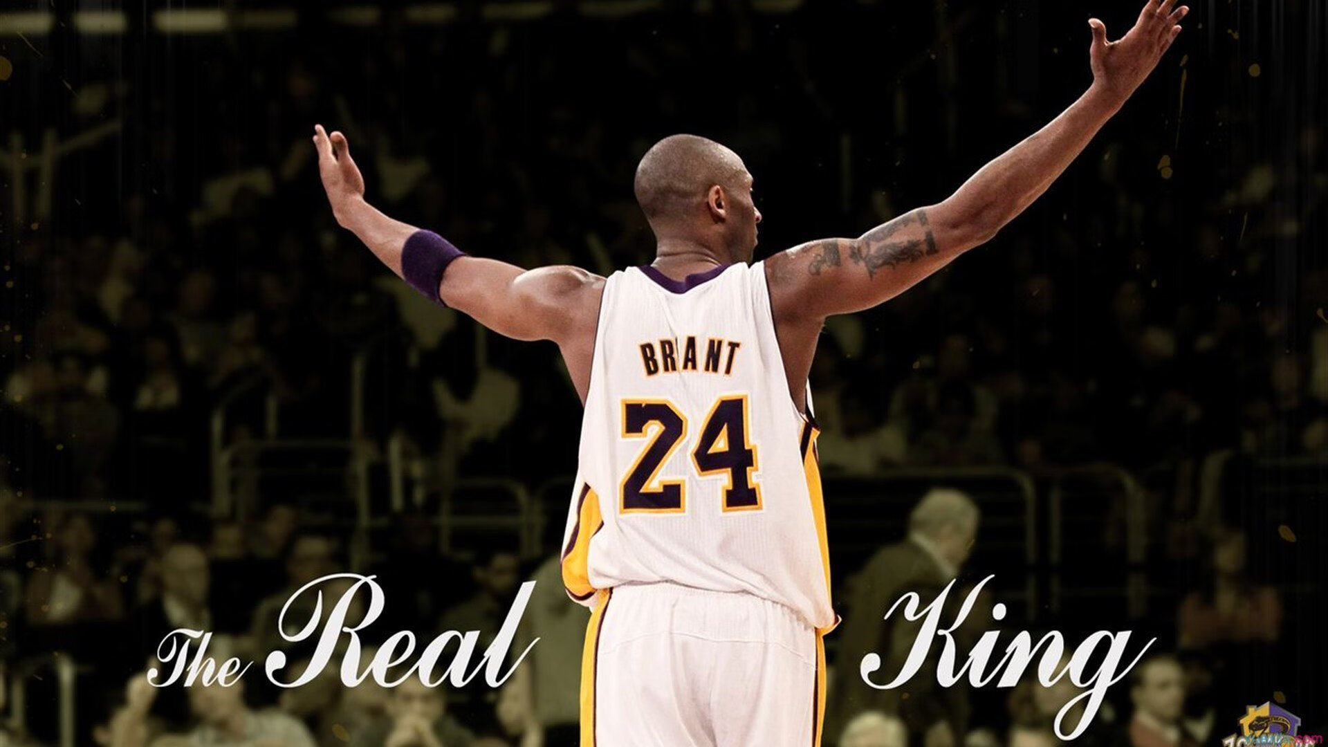 火力压制与关键先生,东亚新秩序与南美孤胆英雄