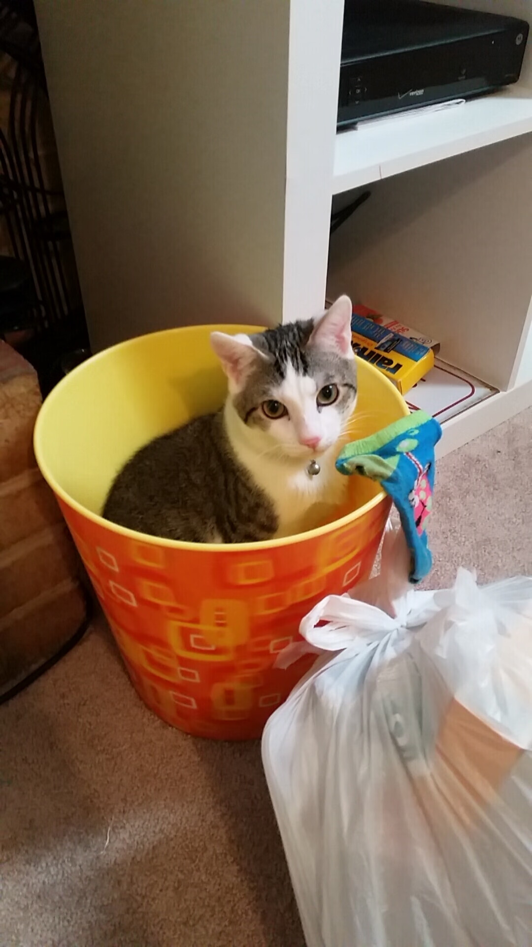 跨界对决，北京队奇迹般带走尼克斯，NBA总决赛新篇章