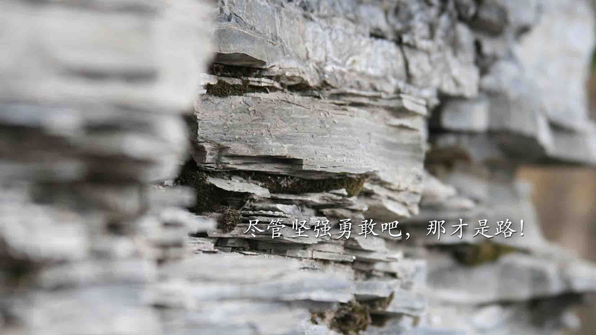 双线战事，当意甲焦点战撞上喀麦隆轻取摩洛哥，足球世界的唯一叙事